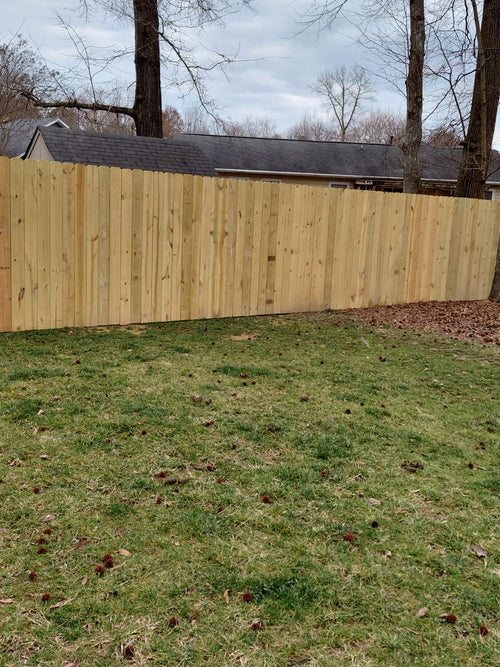 Pressure treated pine wood privacy fence.