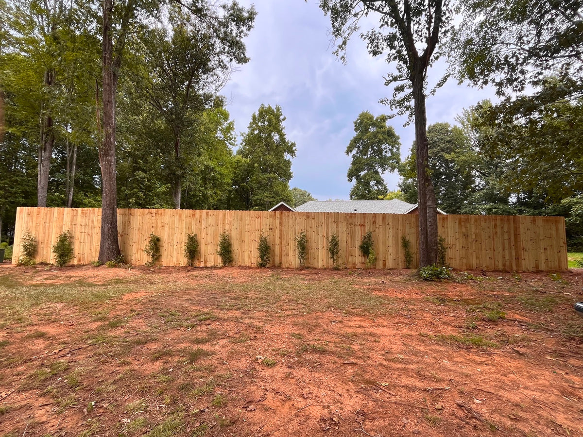 Wood privacy fence in a tree-lined yard