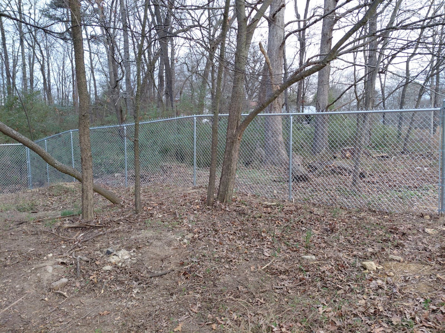 Galvanized chain link fence